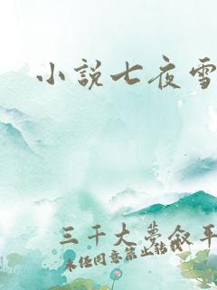小说七夜雪下载
