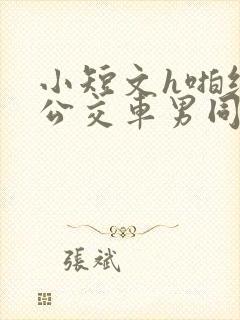 小短文h啪纯肉公交车男同