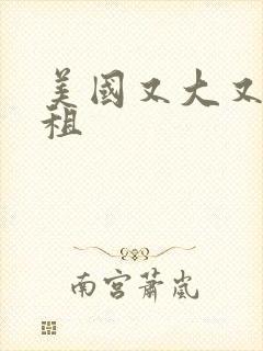 美国又大又长又租