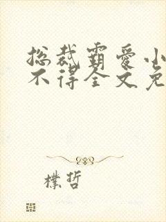 总裁霸爱小妻惹不得全文免费阅读笔趣阁