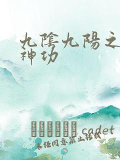 九阴九阳之阴阳神功