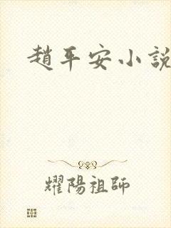 赵平安小说主角