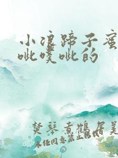 小浪蹄子蜜水噗呲噗呲的