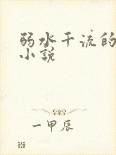 弱水千流的全部小说