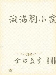 漩涡刘小寐