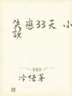 失恋33天 小说