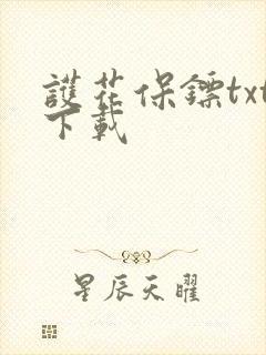 护花保镖txt下载