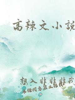 高辣文小说