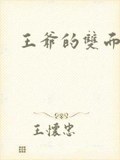 王爷的双面王妃