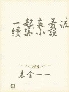 一起来看流星雨续集小说