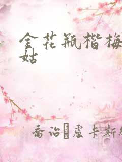 金花瓶楷梅花尼姑