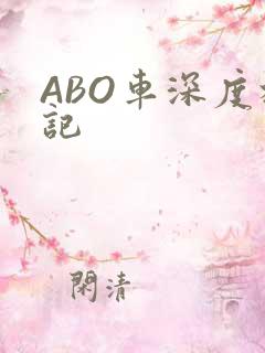 ABO车深度标记