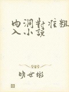 肉洞对准粗大坐入小说