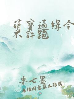 萌宝通缉令妈味不许跑