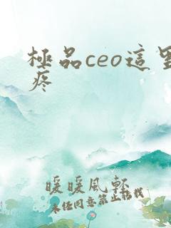 极品ceo这里疼