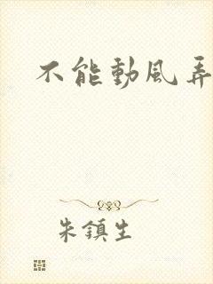 不能动风弄