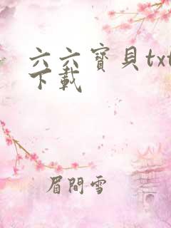 六六宝贝txt下载