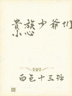 贵族少爷们 请小心