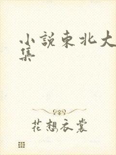 小说东北大炕全集