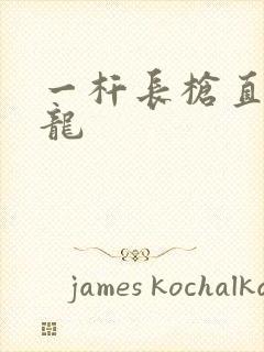 一杆长枪直捣黄龙