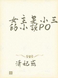 女主是小三很婊的小说PO