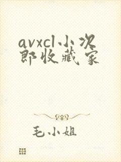 avxcl小次郎收藏家