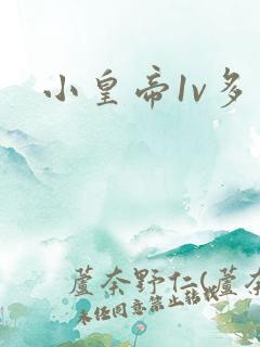 小皇帝1v多