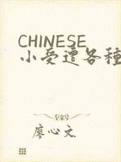 CHINESE小受遭各种打桩