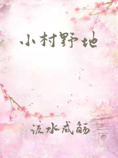 小村野地