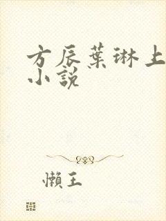 方辰叶琳上官步小说