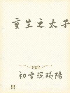 重生之太子驾到