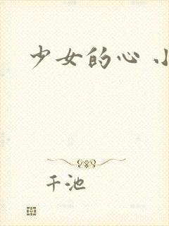 少女的心 小说