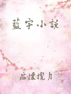 蓝宇小说