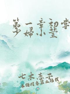 第一章初尝禁果少妇小莹