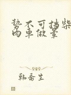 势不可挡柴鸡蛋肉车做晕