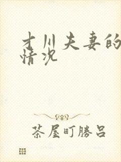 才川夫妻的恋爱情况