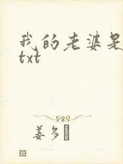 我的老婆是警察txt