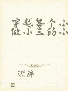 穿越各个小世界做小三的小说