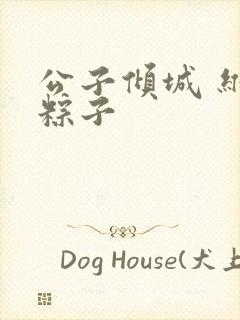 公子倾城 维和粽子