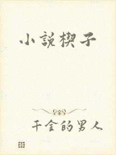 小说楔子
