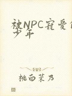 被NPC宠爱的少年