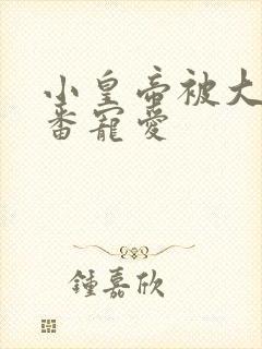 小皇帝被大臣轮番宠爱