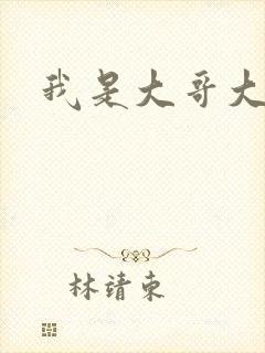 我是大哥大下载