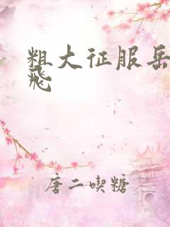 粗大征服岳女双飞