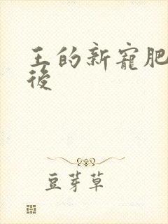 王的新宠肥婆皇后