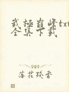 武极巅峰txt全集下载