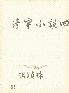 清穿小说四四