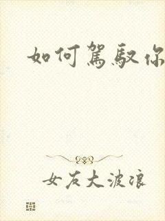 如何驾驭你的龙