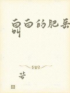 白白的肥岳嗷嗷叫