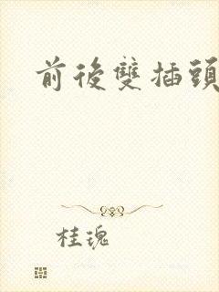 前后双插头互攻